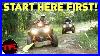 Don T Know Where To Start The New Polaris Sportsman Atv Is A Way Into Budget Off Roading