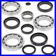 Polaris Sportsman 400 HO 4×4, 2008-2012, Front Differential Bearing and Seal Kit